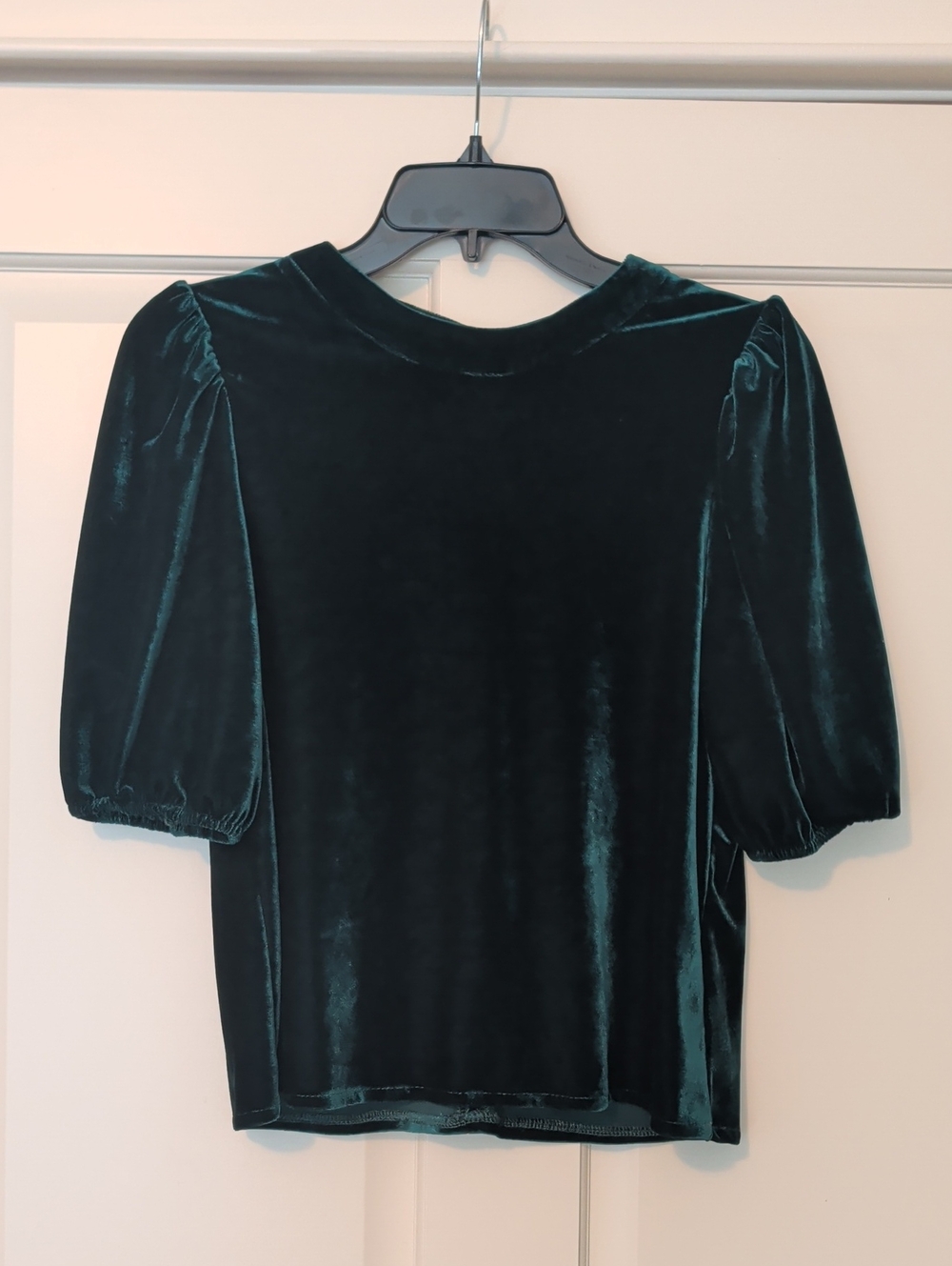 Evereve Emerald Velvet Puff Sleeve Blouse